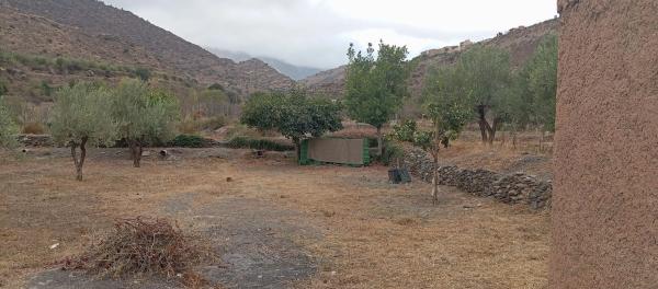 Terreno en poligono 21 Parcela 71, 71