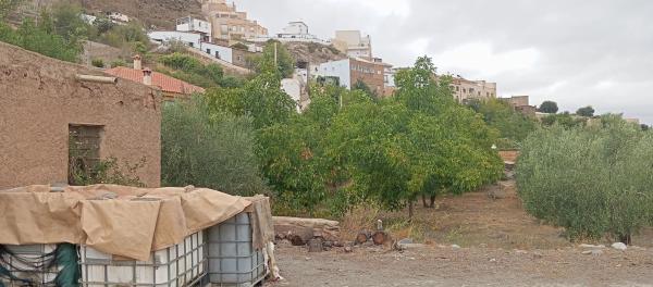Terreno en poligono 21 Parcela 71, 71