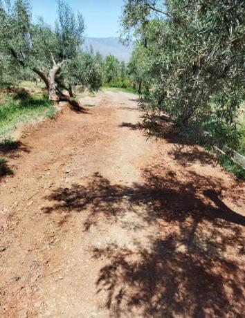 Terreno en via A-92 s/n