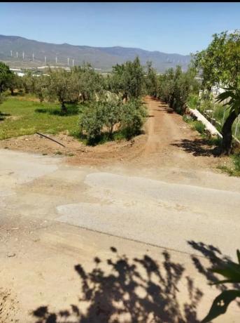 Terreno en via A-92 s/n