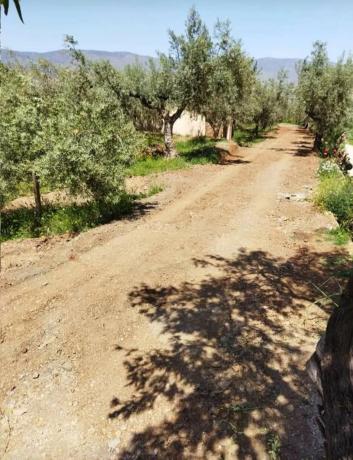 Terreno en via A-92 s/n