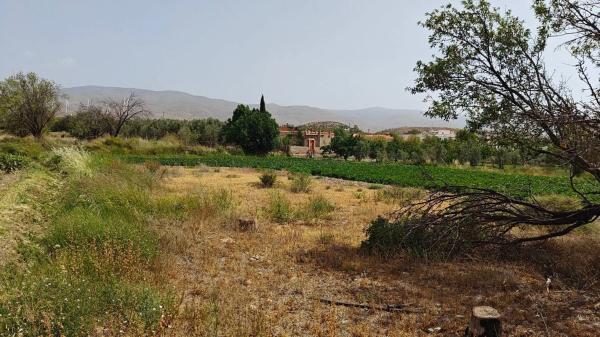 Terreno en camino Real, 1