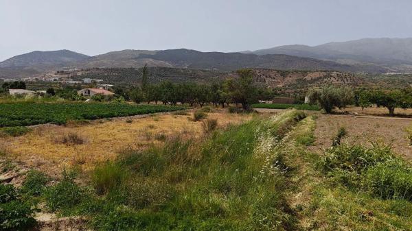 Terreno en camino Real, 1