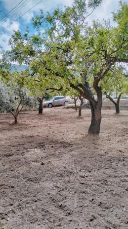 Terreno en Paraje Ofatabla s/n