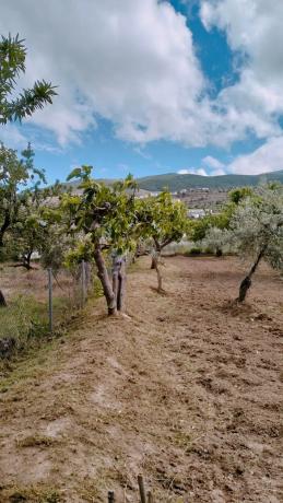 Terreno en Paraje Ofatabla s/n