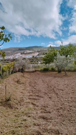 Terreno en Paraje Ofatabla s/n