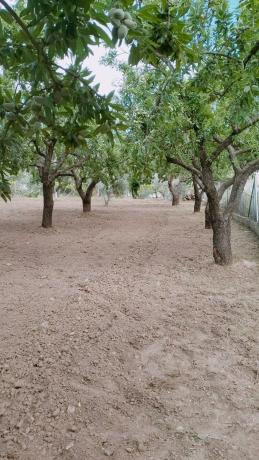 Terreno en Paraje Ofatabla s/n