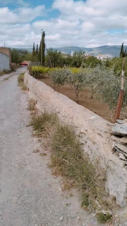 Terreno en Paraje Ofatabla s/n