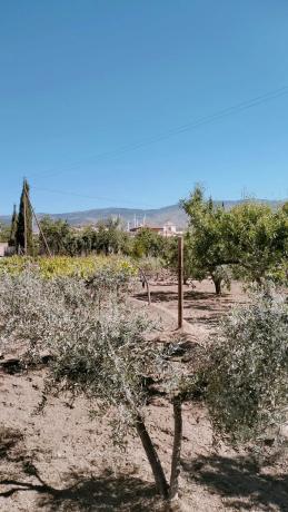Terreno en Paraje Ofatabla s/n