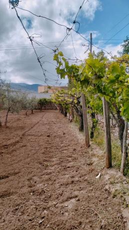 Terreno en Paraje Ofatabla s/n