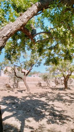 Terreno en Paraje Ofatabla s/n