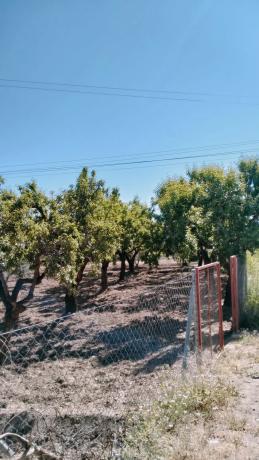 Terreno en Paraje Ofatabla s/n