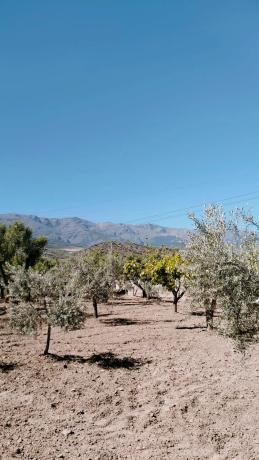 Terreno en Paraje Ofatabla s/n