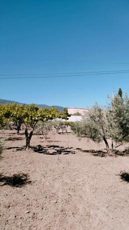 Terreno en Paraje Ofatabla s/n