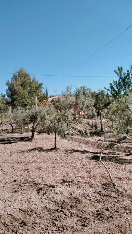Terreno en Paraje Ofatabla s/n