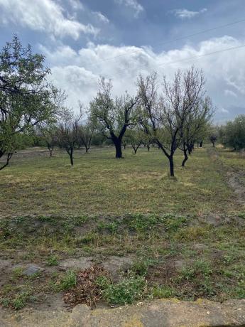 Terreno en Tachas, 37