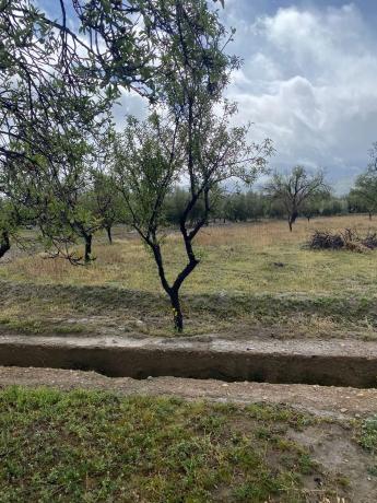 Terreno en Tachas, 37