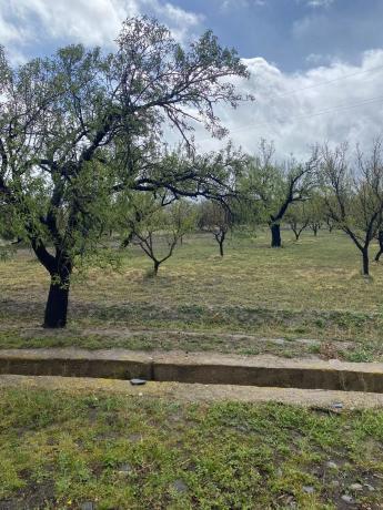 Terreno en Tachas, 37