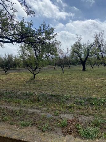 Terreno en Tachas, 37