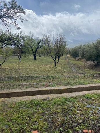 Terreno en Tachas, 37
