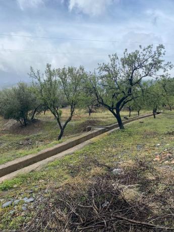 Terreno en Tachas, 37