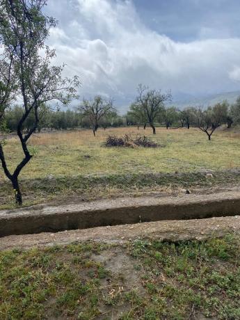 Terreno en Tachas, 37