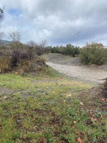 Terreno en Tachas, 37