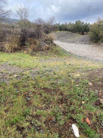 Terreno en Tachas, 37