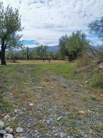 Terreno en Tachas, 37