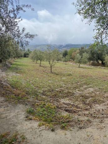 Terreno en Tachas, 37