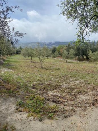 Terreno en Tachas, 37