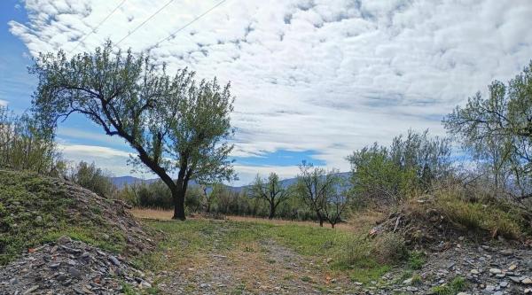 Terreno en Tachas, 37