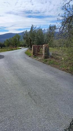 Terreno en Tachas, 37