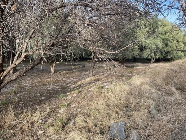 Terreno en Ocaña s/n Ocaa