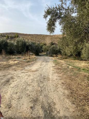 Terreno en Ocaña s/n Ocaa