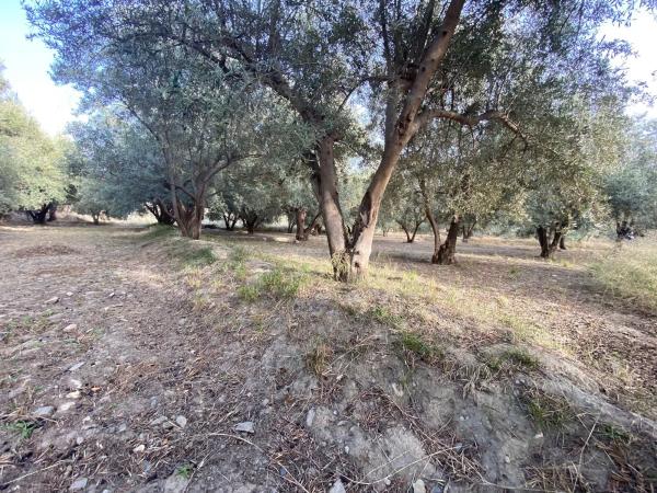 Terreno en Ocaña s/n Ocaa