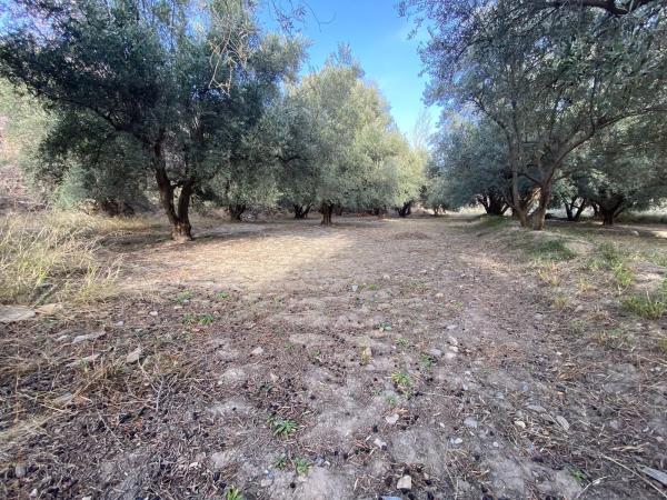 Terreno en Ocaña s/n Ocaa