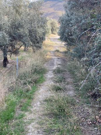 Terreno en Ocaña s/n Ocaa