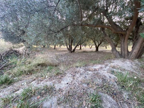 Terreno en Ocaña s/n Ocaa