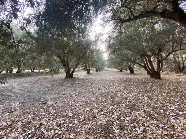Terreno en Ocaña s/n Ocaa