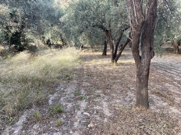 Terreno en Ocaña s/n Ocaa