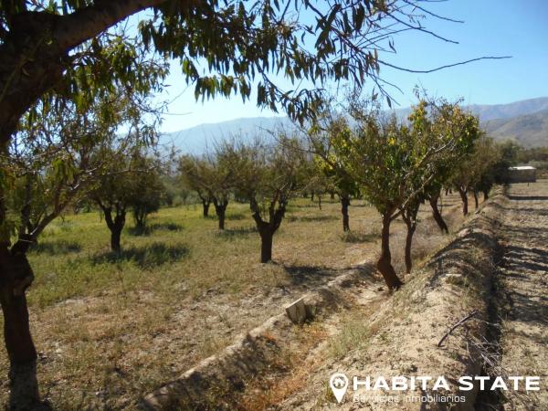 Terreno en Paraje Cipreses s/n