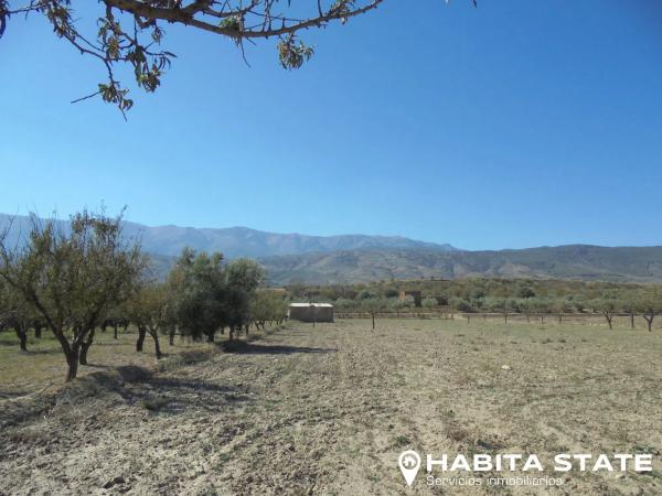 Terreno en Paraje Cipreses s/n
