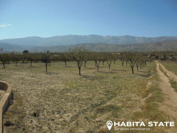 Terreno en Paraje Cipreses s/n