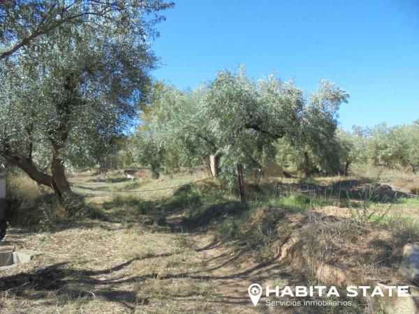 Terreno en Paraje Escuchagranos s/n