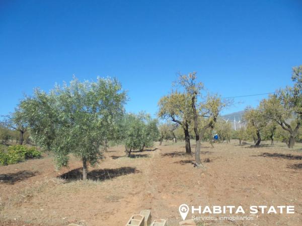 Terreno en Paraje Escuchagranos s/n
