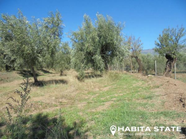 Terreno en Paraje Escuchagranos s/n