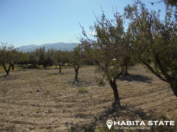 Terreno en Paraje Cipreses s/n