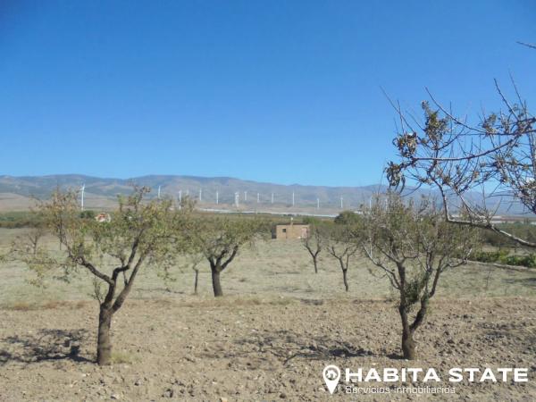 Terreno en Paraje Cipreses s/n