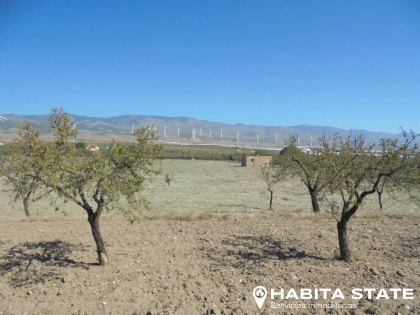 Terreno en Paraje Cipreses s/n